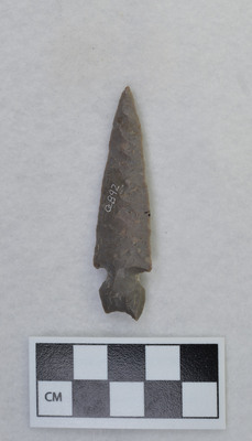 Ce.892