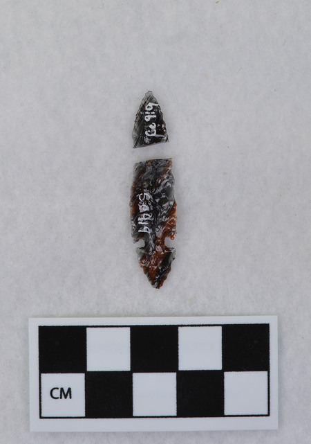 Ce.919