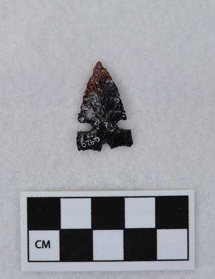 Ce.920