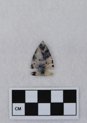 Ce.921