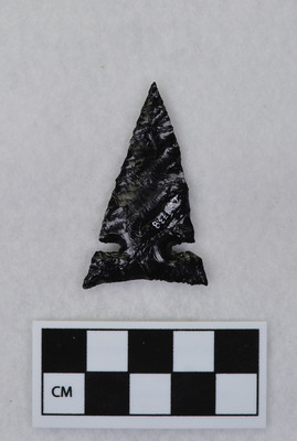 Ce.9738