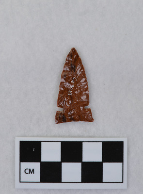 Ce.9919