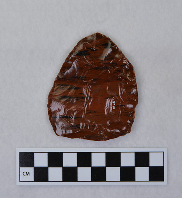 Ce.3981