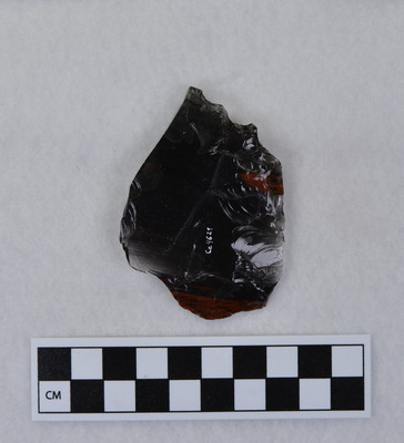 Ce.4629