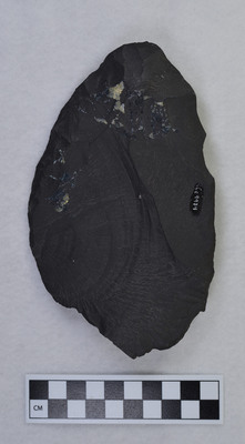 Ce.9974