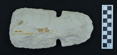 Ce.895