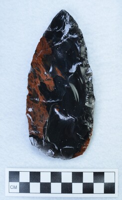 Ce.1545