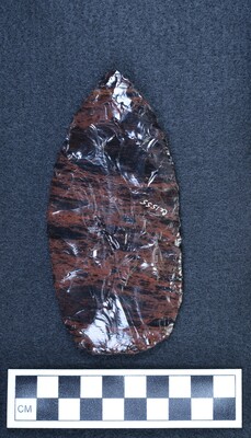 Ce.1555