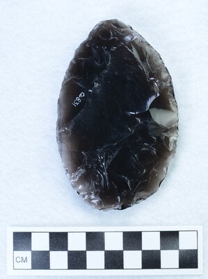Ce.831