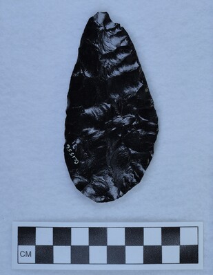 Ce.1556