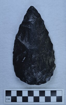 Ce.3982