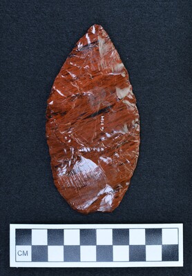 Ce.3989