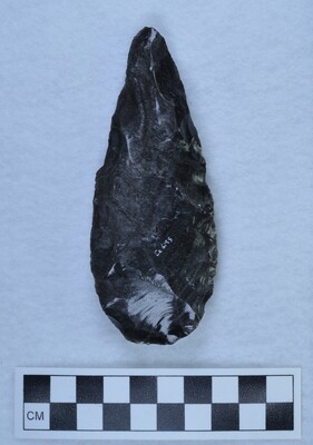 Ce.6195