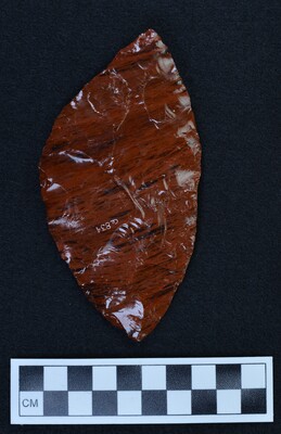 Ce.834
