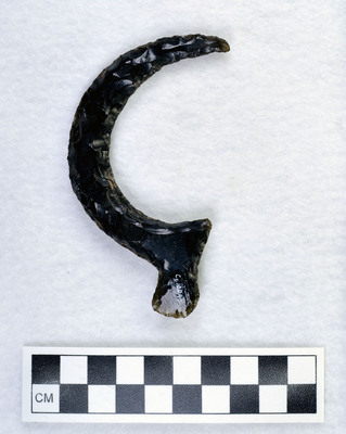 Ce.10090