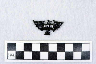 Ce.1481