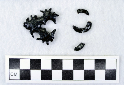 Ce.1485