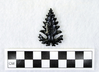 Ce.1888