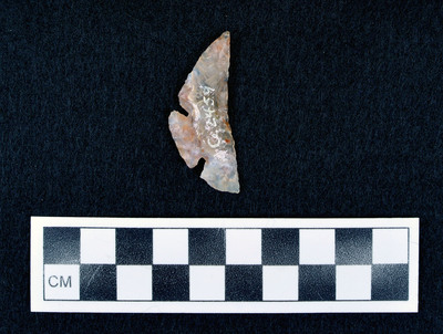 Ce.2459