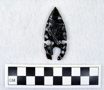 Ce.3501