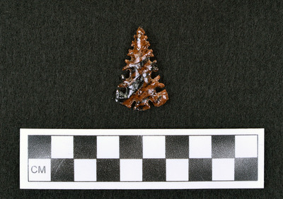 Ce.3503