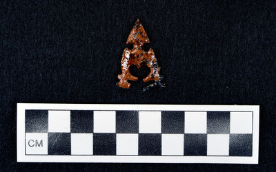 Ce.3504