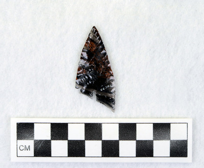 Ce.3527