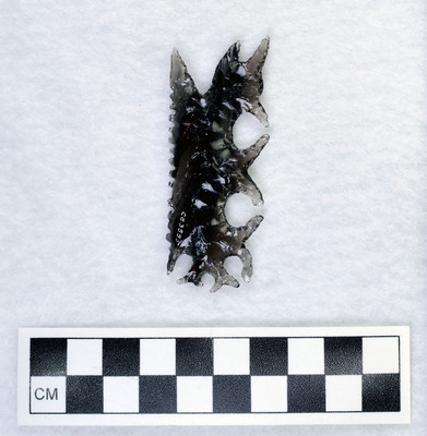 Ce.3555