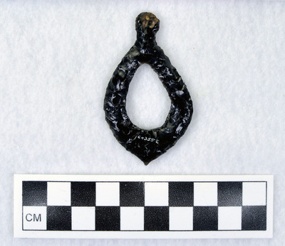 Ce.3556