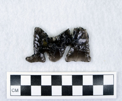 Ce.3562