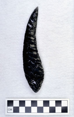 Ce.3563
