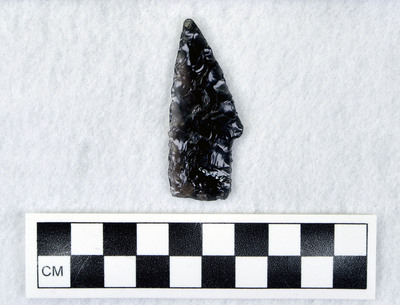 Ce.3564