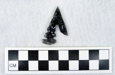 Ce.3565