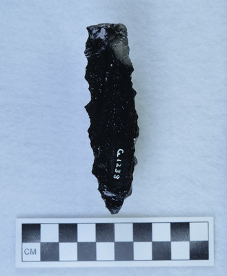 Ce.1238