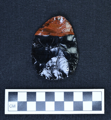 Ce.1546