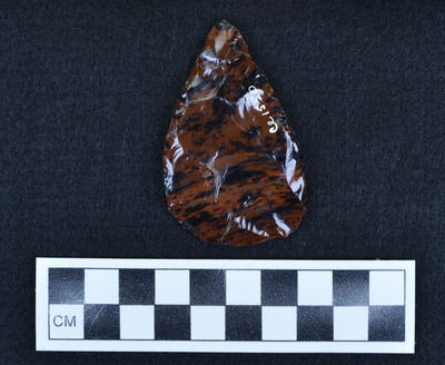 Ce.1550