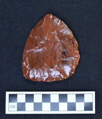 Ce.1551