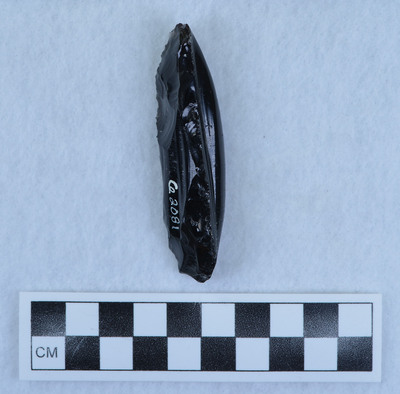 Ce.2081