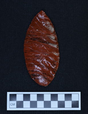 Ce.3998