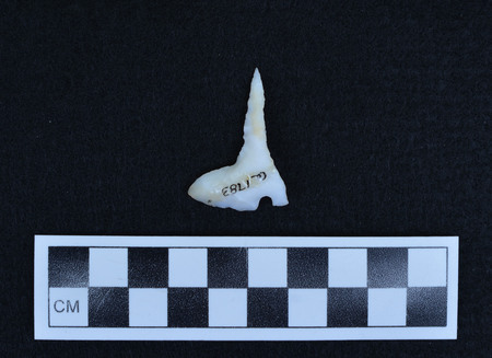 Ce.1783