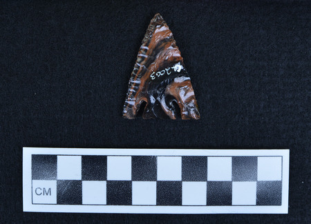 Ce.2003