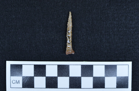 Ce.2078