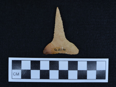 Ce.2079