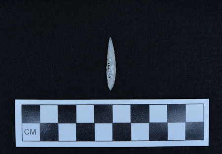 Ce.2441