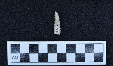 Ce.2445