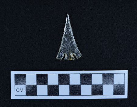 Ce.2779