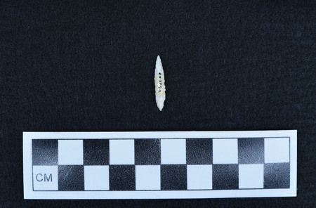 Ce.2792