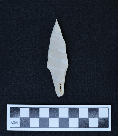 Ce.2795