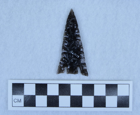 Ce.4177