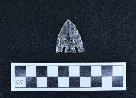 Ce.4199